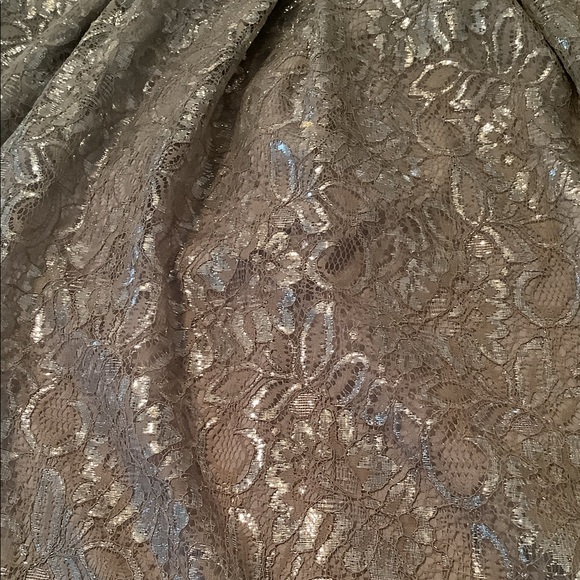 🎉HOST PICK🎉 Eshakti Silver Lace Dress size 14 - Picture 8 of 15